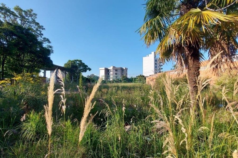 Terreno com 200m², no bairro Cinqüentenário em Caxias do Sul para Alugar