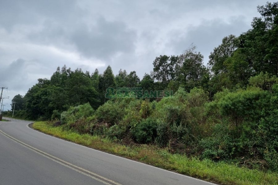 Chácara, no bairro Forqueta em Caxias do Sul para Comprar