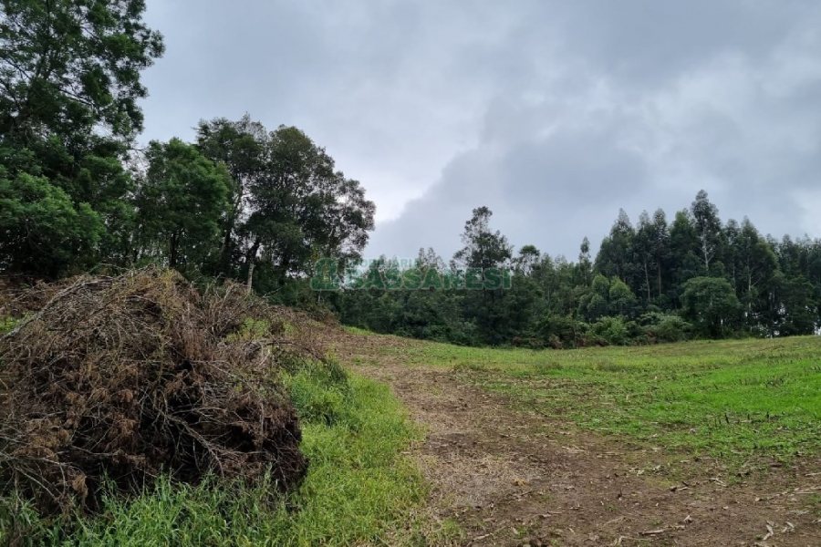 Chácara, no bairro Forqueta em Caxias do Sul para Comprar