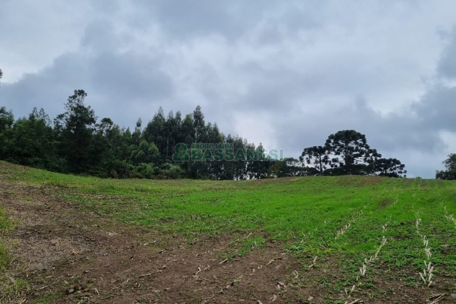 Chácara, no bairro Forqueta em Caxias do Sul para Comprar