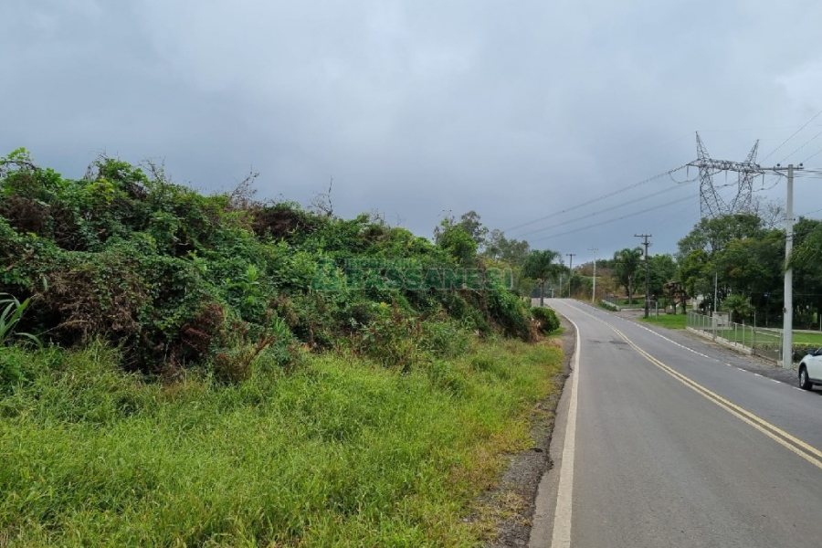 Chácara, no bairro Forqueta em Caxias do Sul para Comprar