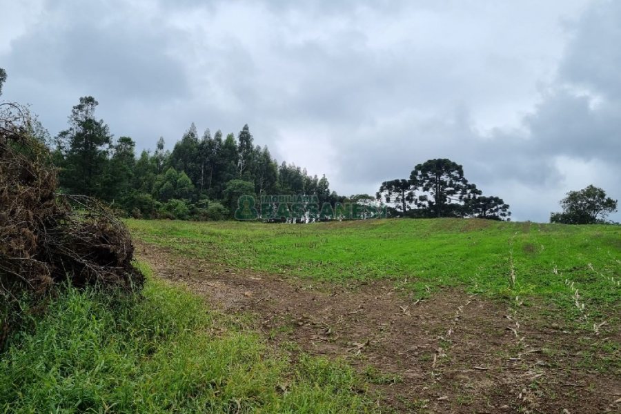 Chácara, no bairro Forqueta em Caxias do Sul para Comprar