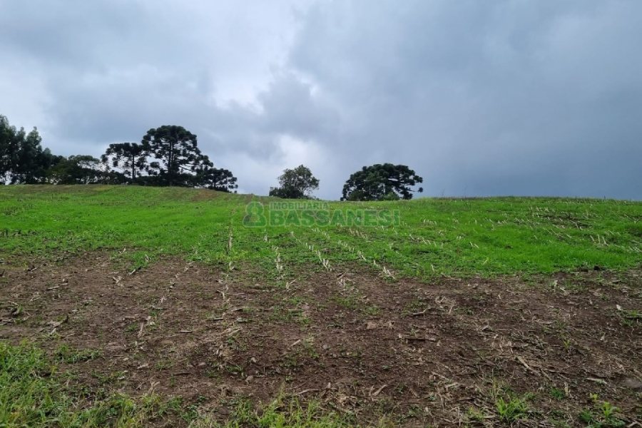 Chácara, no bairro Forqueta em Caxias do Sul para Comprar
