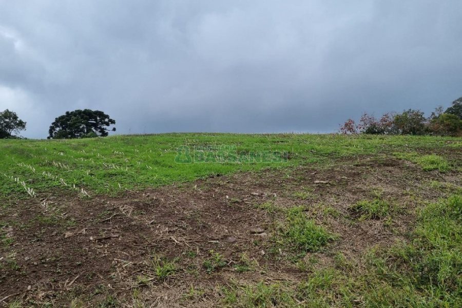 Chácara, no bairro Forqueta em Caxias do Sul para Comprar