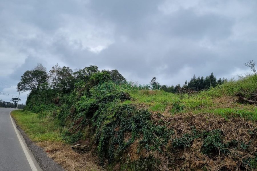 Chácara, no bairro Forqueta em Caxias do Sul para Comprar