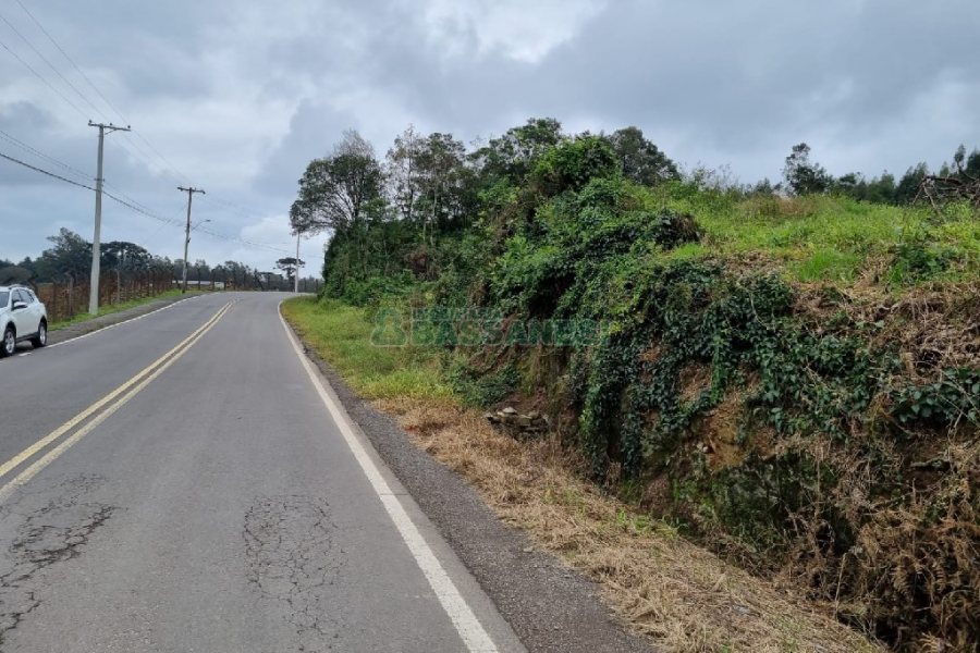 Chácara, no bairro Forqueta em Caxias do Sul para Comprar