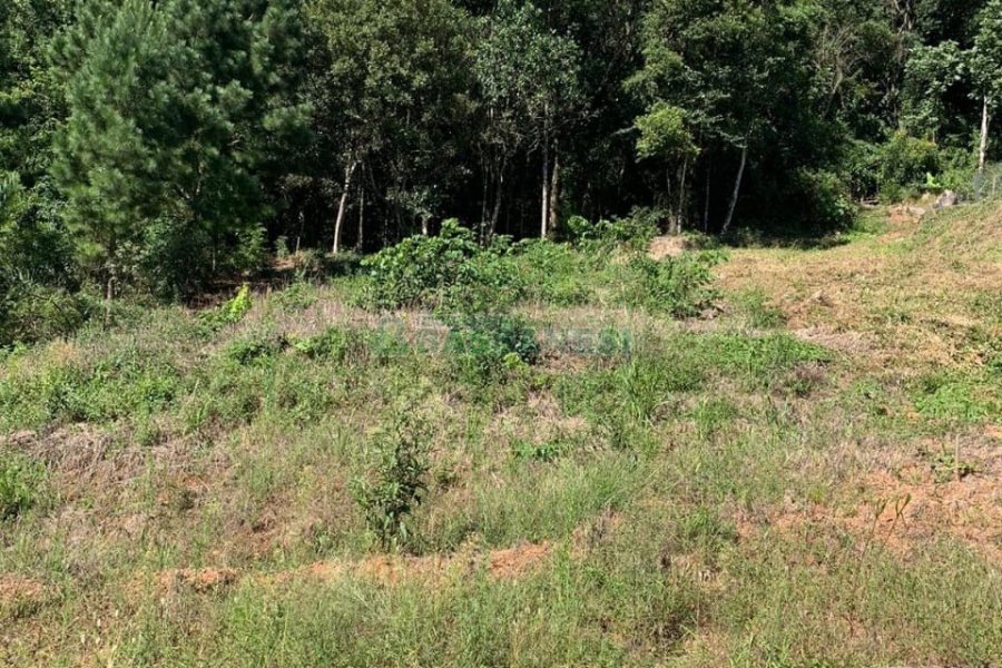 Terreno, no bairro São Luiz em Caxias do Sul para Comprar