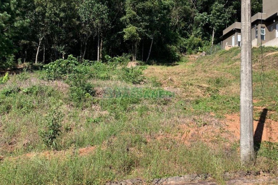 Terreno, no bairro São Luiz em Caxias do Sul para Comprar