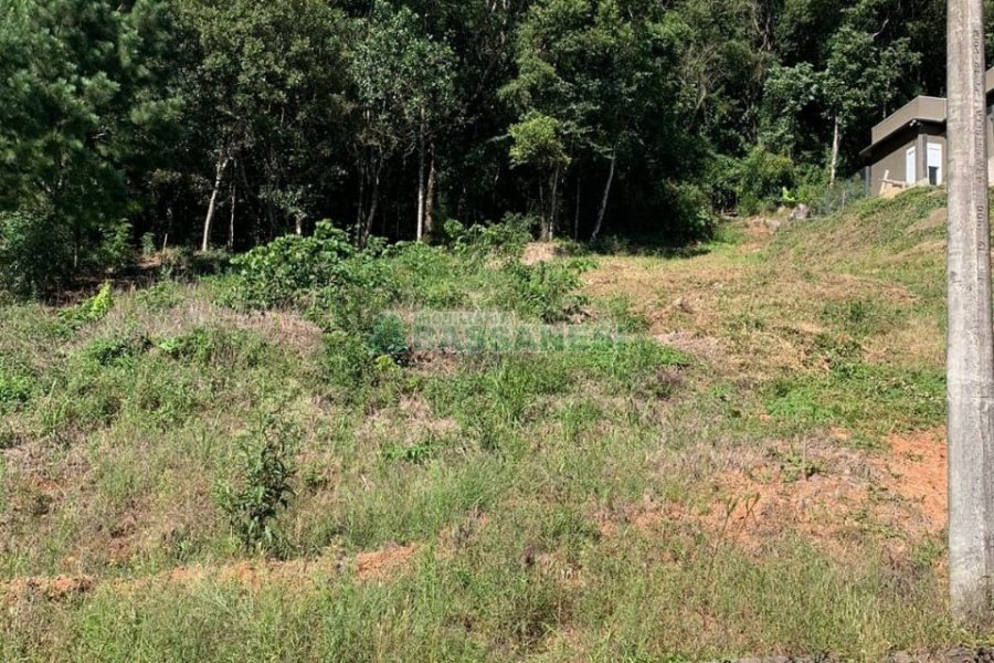 Terreno, no bairro São Luiz em Caxias do Sul para Comprar