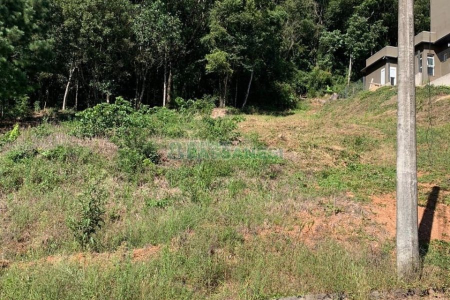 Terreno, no bairro São Luiz em Caxias do Sul para Comprar