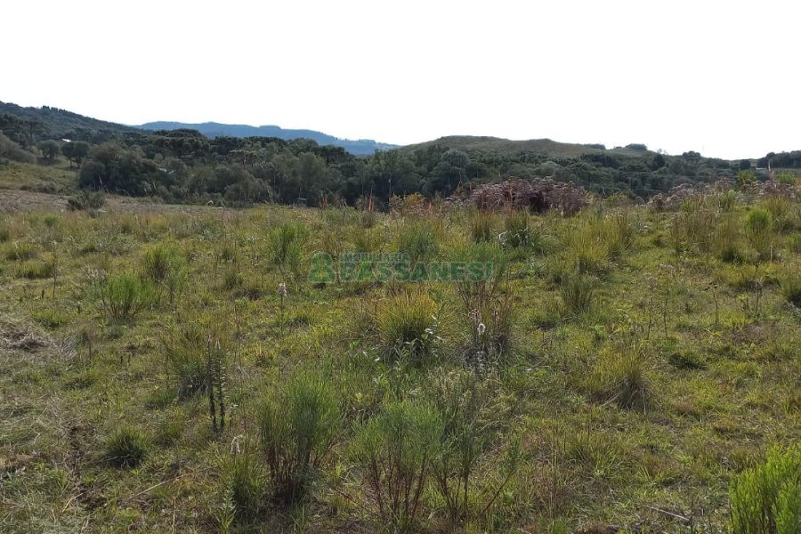 Chácara com 20000m², no bairro Criuva em Caxias do Sul para Comprar
