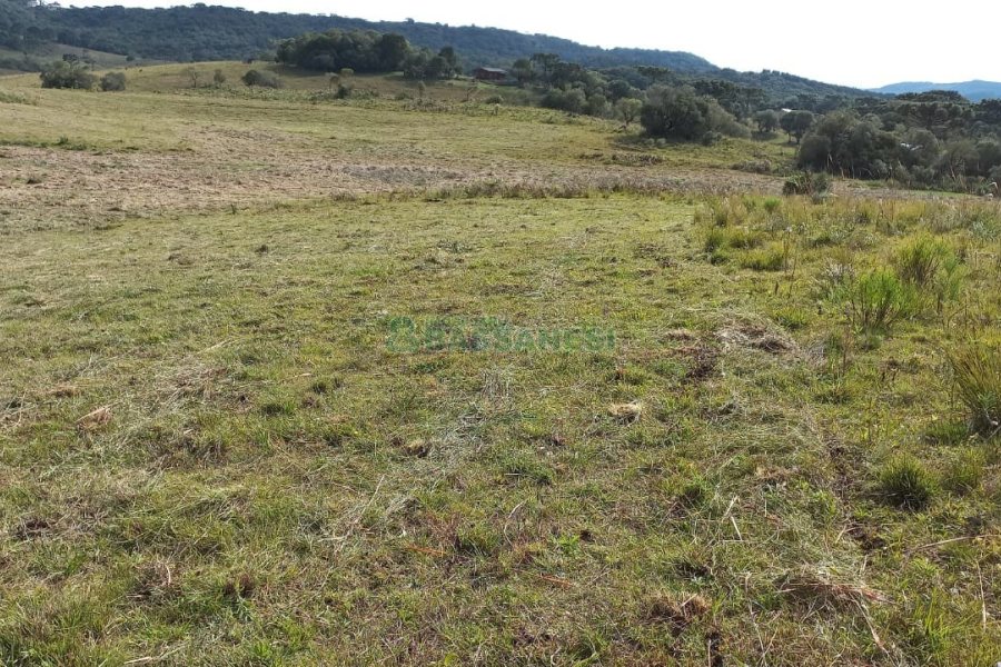 Chácara com 20000m², no bairro Criuva em Caxias do Sul para Comprar