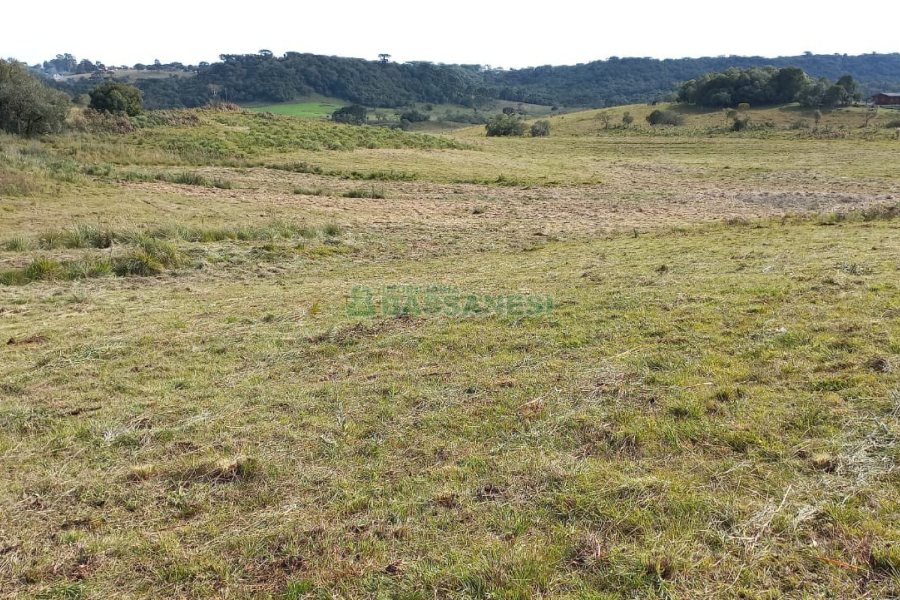 Chácara com 20000m², no bairro Criuva em Caxias do Sul para Comprar