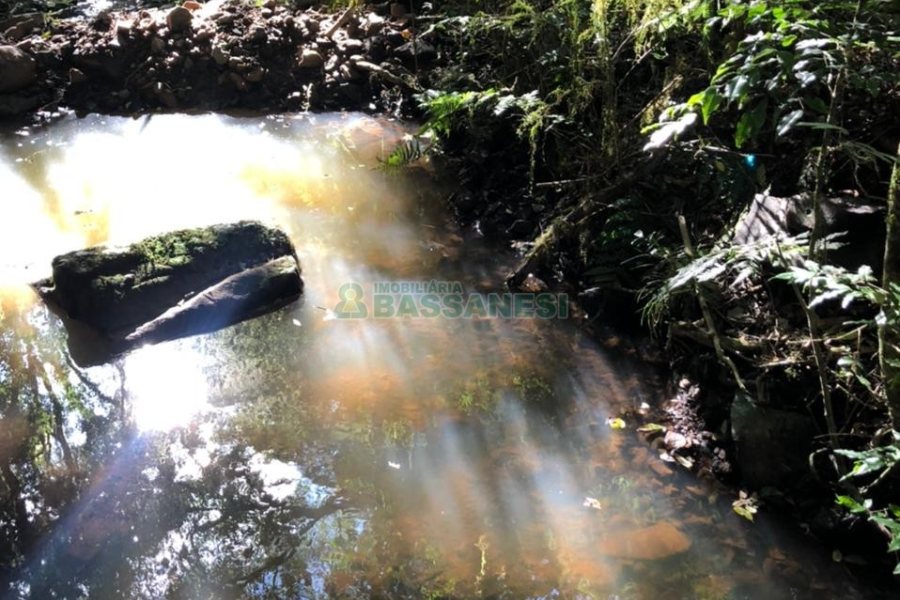 Chácara com 20000m², no bairro Criuva em Caxias do Sul para Comprar