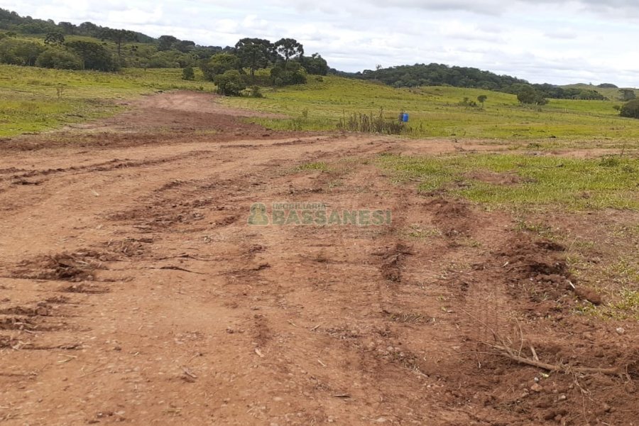 Chácara com 20000m², no bairro Criuva em Caxias do Sul para Comprar