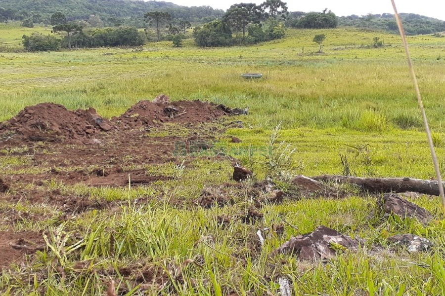 Chácara com 20000m², no bairro Criuva em Caxias do Sul para Comprar