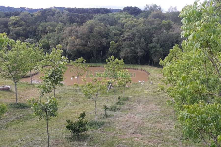 Chácara com 20000m², no bairro Criuva em Caxias do Sul para Comprar