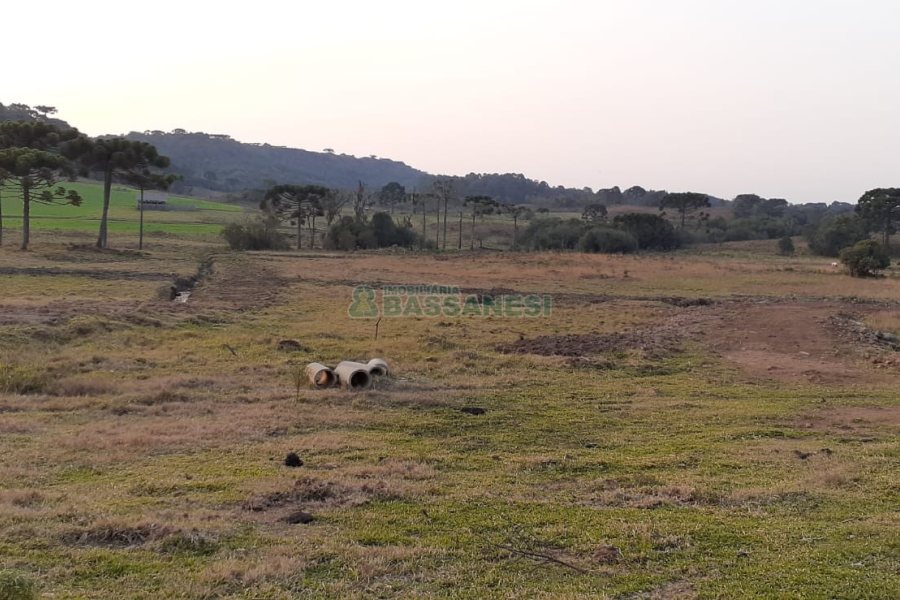 Chácara com 20000m², no bairro Criuva em Caxias do Sul para Comprar