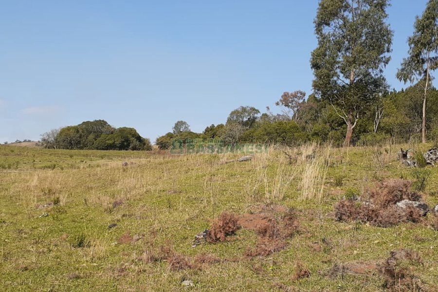 Chácara com 20000m², no bairro Criuva em Caxias do Sul para Comprar