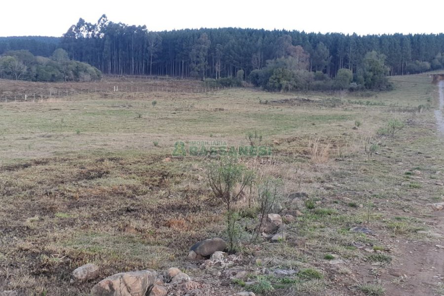 Chácara com 20000m², no bairro Criuva em Caxias do Sul para Comprar