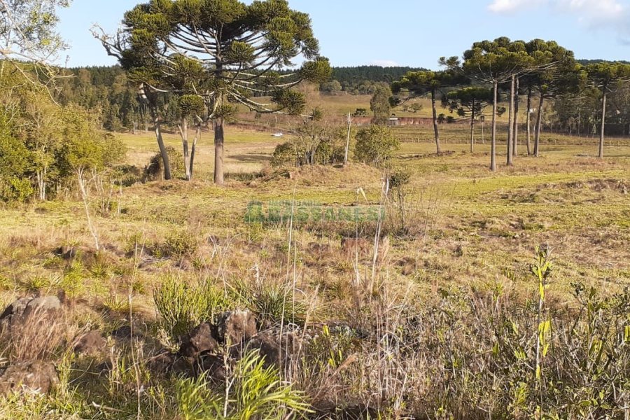 Chácara com 20000m², no bairro Criuva em Caxias do Sul para Comprar