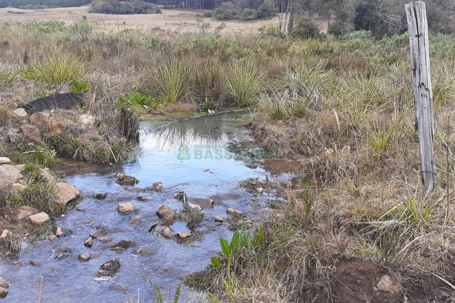 Chácara com 20000m², no bairro Criuva em Caxias do Sul para Comprar