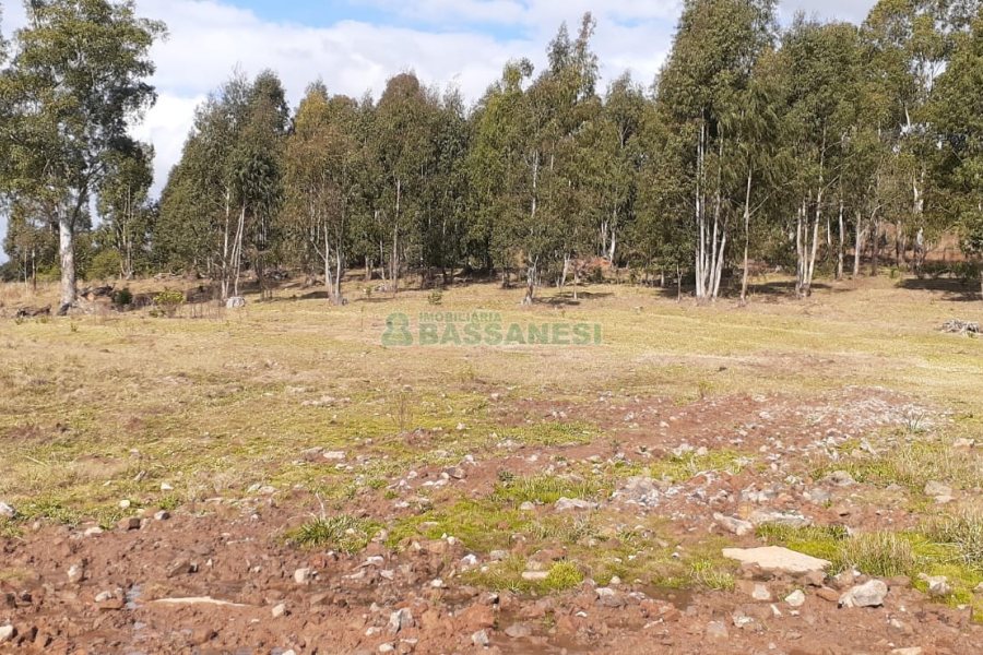 Chácara com 20000m², no bairro Criuva em Caxias do Sul para Comprar