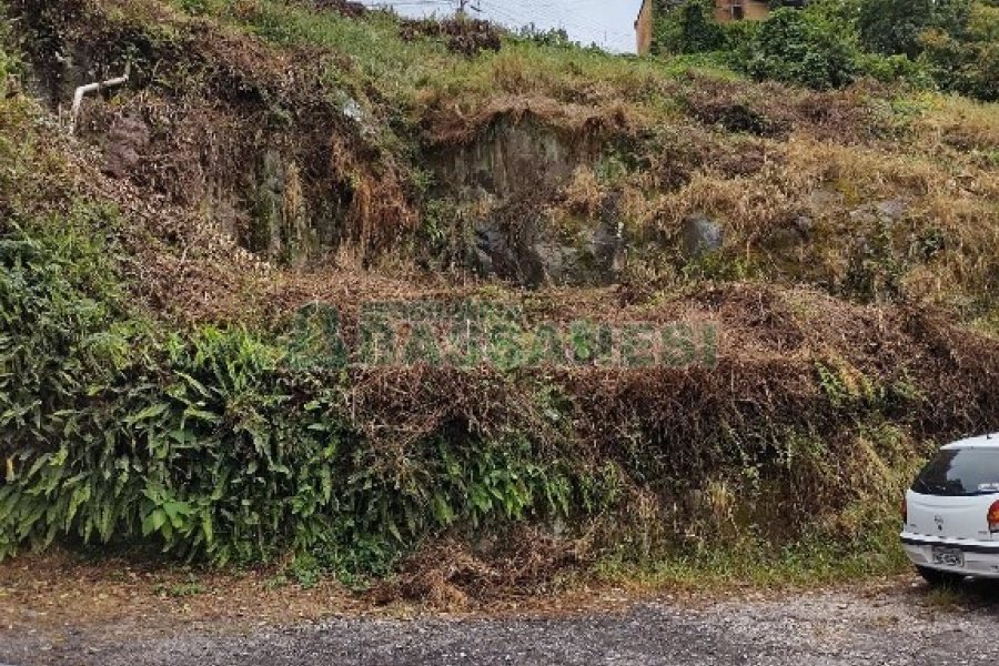 Terreno, no bairro São Leopoldo em Caxias do Sul para Comprar
