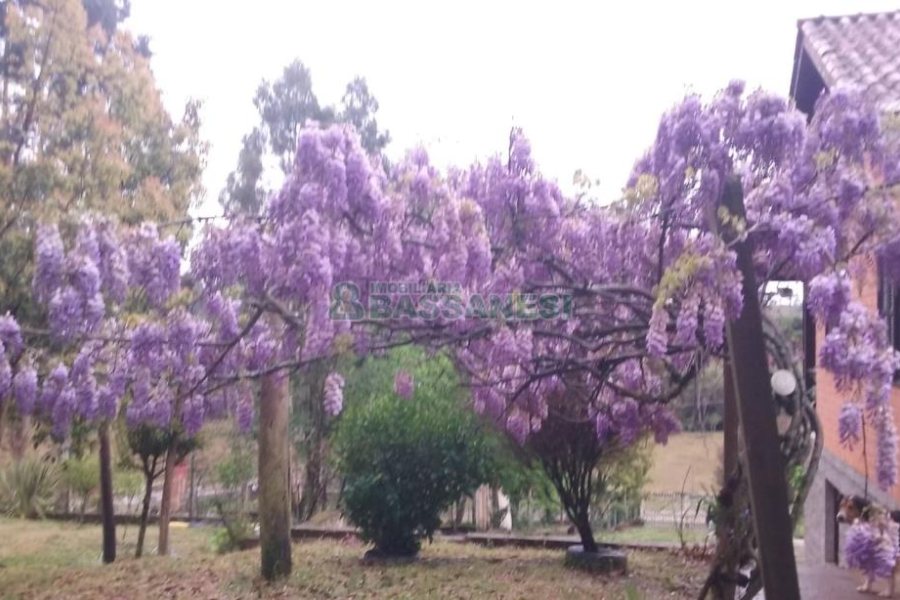 Chácara com 180m², 4 dormitórios, 2 vagas, no bairro Apanhador em Caxias do Sul para Comprar