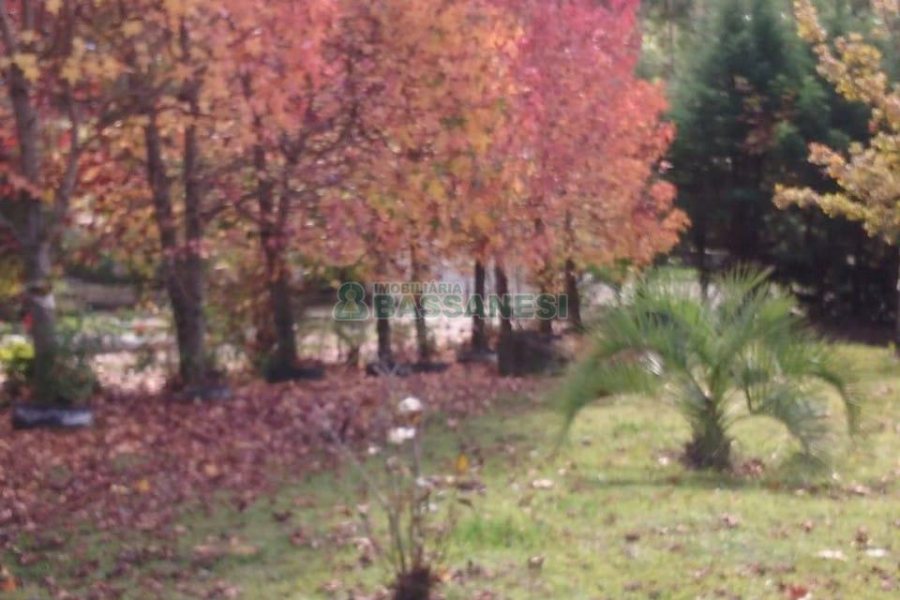 Chácara com 180m², 4 dormitórios, 2 vagas, no bairro Apanhador em Caxias do Sul para Comprar