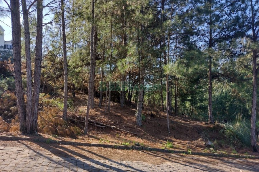 Terreno, no bairro Desvio Rizzo em Caxias do Sul para Comprar