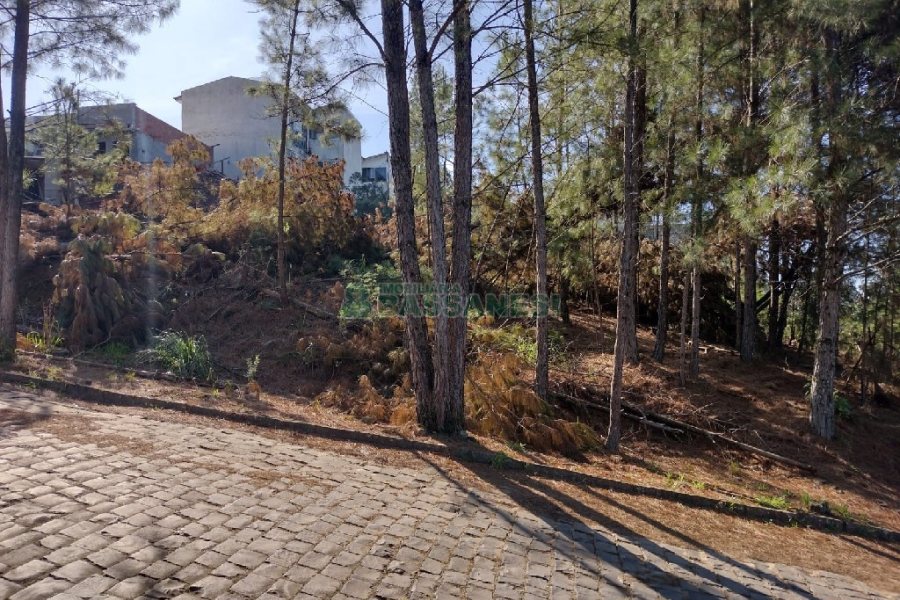 Terreno, no bairro Desvio Rizzo em Caxias do Sul para Comprar