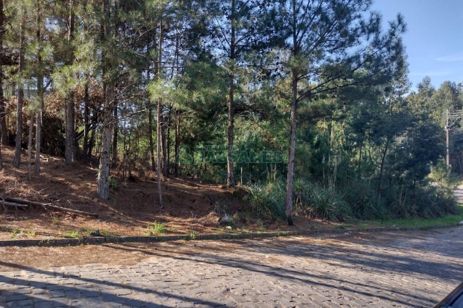 Terreno, no bairro Desvio Rizzo em Caxias do Sul para Comprar