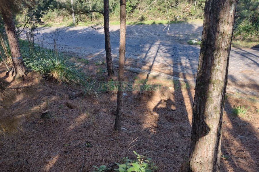 Terreno, no bairro Desvio Rizzo em Caxias do Sul para Comprar