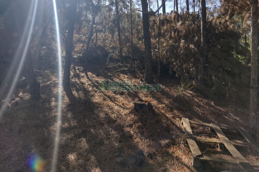 Terreno, no bairro Desvio Rizzo em Caxias do Sul para Comprar