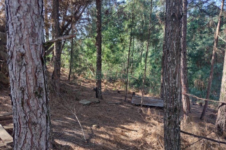 Terreno, no bairro Desvio Rizzo em Caxias do Sul para Comprar