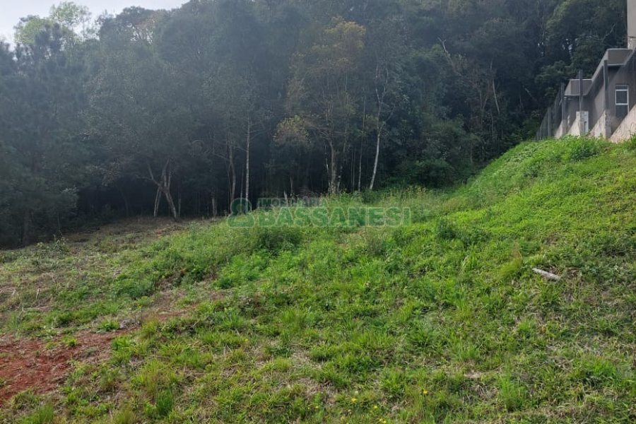 Terreno, no bairro São Luiz em Caxias do Sul para Comprar