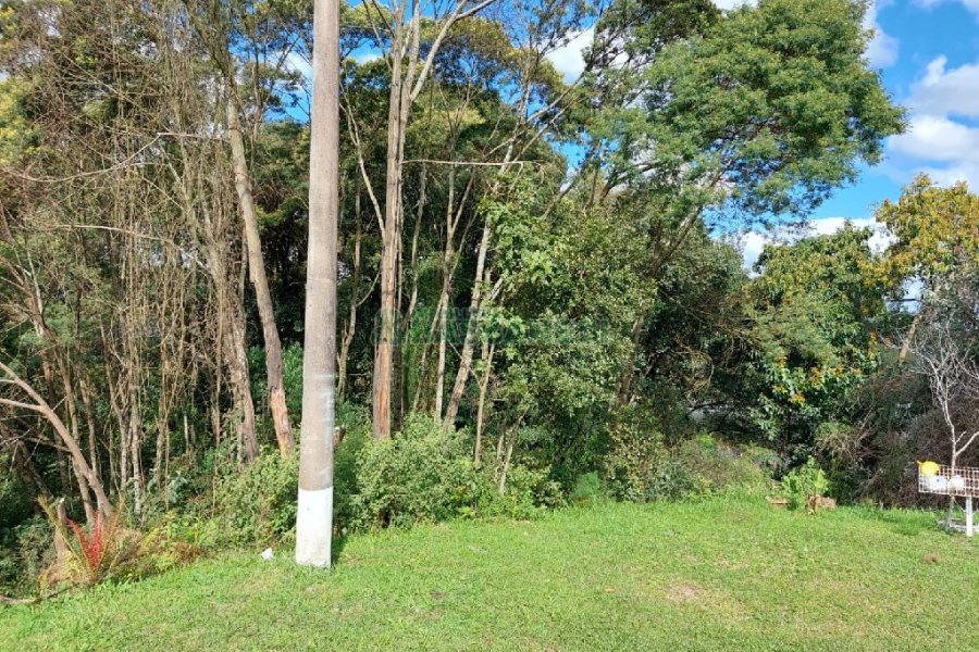 Terreno, no bairro São Cristóvão em Caxias do Sul para Comprar
