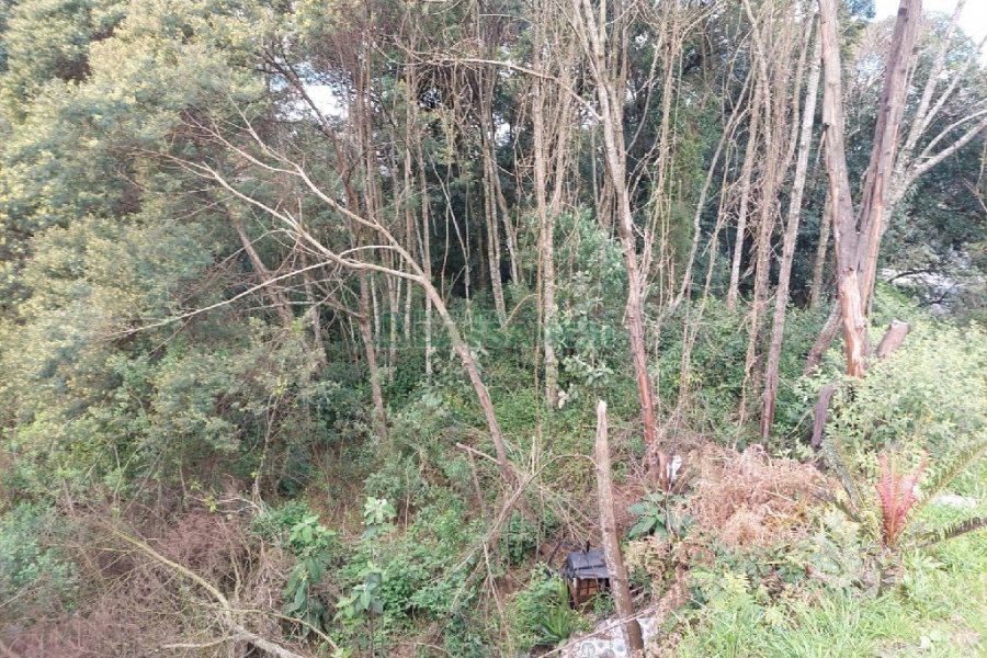 Terreno, no bairro São Cristóvão em Caxias do Sul para Comprar