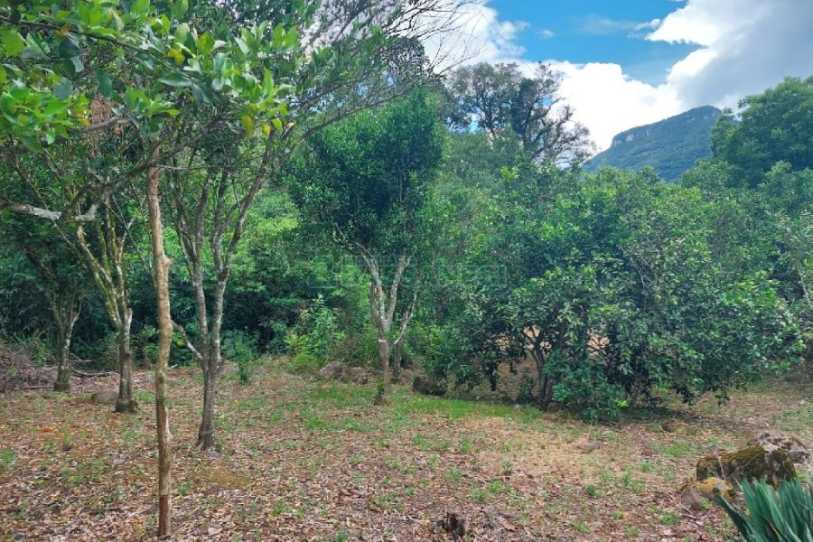 Chácara, 2 dormitórios, 1 vaga, no bairro Galópolis em Caxias do Sul para Comprar