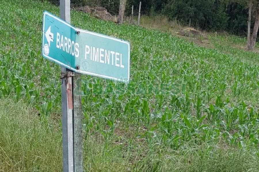 Chácara, 2 dormitórios, 1 vaga, no bairro Galópolis em Caxias do Sul para Comprar