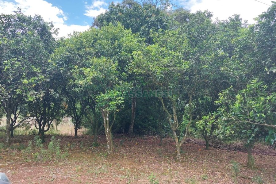 Chácara, 2 dormitórios, 1 vaga, no bairro Galópolis em Caxias do Sul para Comprar