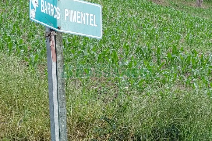Chácara, 2 dormitórios, 1 vaga, no bairro Galópolis em Caxias do Sul para Comprar