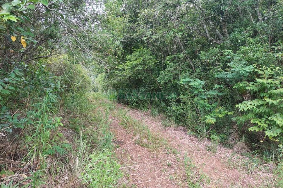 Chácara, 2 dormitórios, 1 vaga, no bairro Galópolis em Caxias do Sul para Comprar