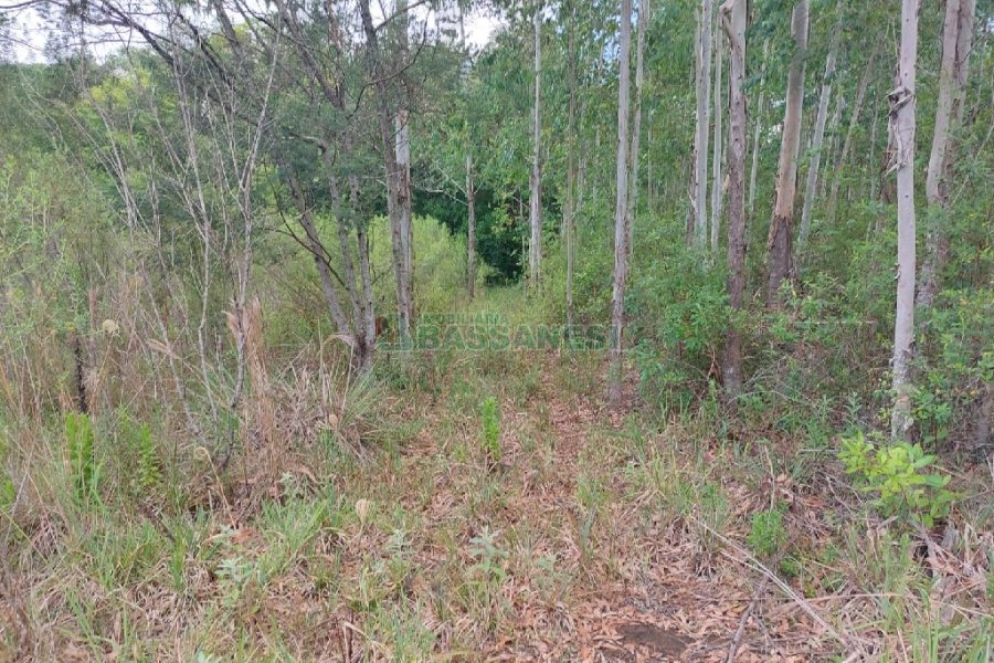 Chácara, 2 dormitórios, 1 vaga, no bairro Galópolis em Caxias do Sul para Comprar