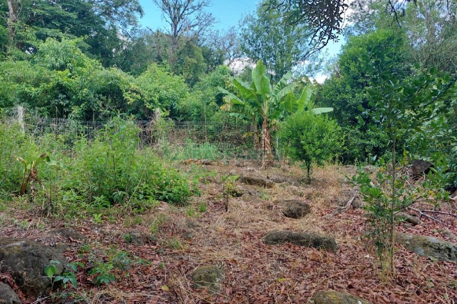 Chácara, 2 dormitórios, 1 vaga, no bairro Galópolis em Caxias do Sul para Comprar