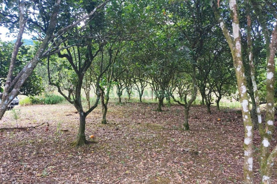 Chácara, 2 dormitórios, 1 vaga, no bairro Galópolis em Caxias do Sul para Comprar