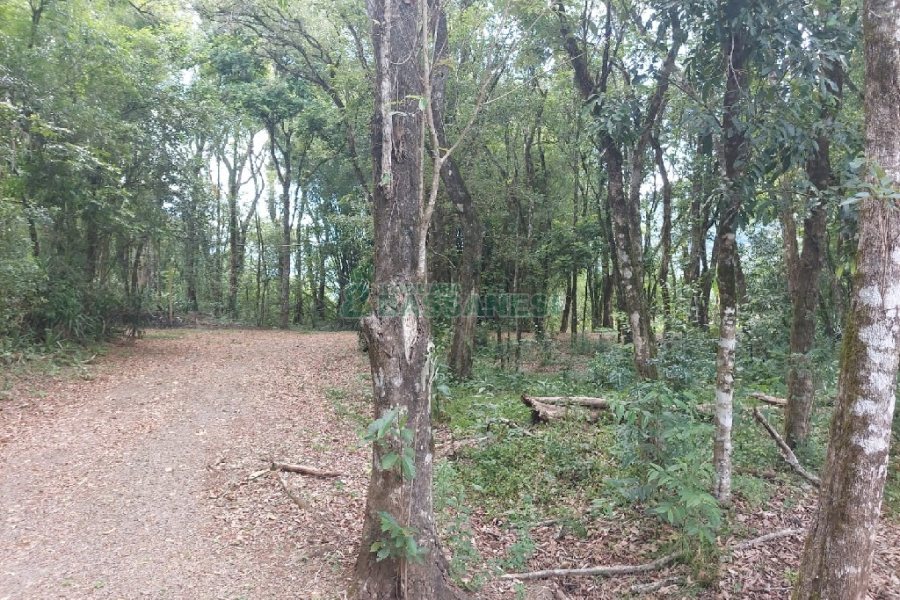 Chácara, 2 dormitórios, 1 vaga, no bairro Galópolis em Caxias do Sul para Comprar