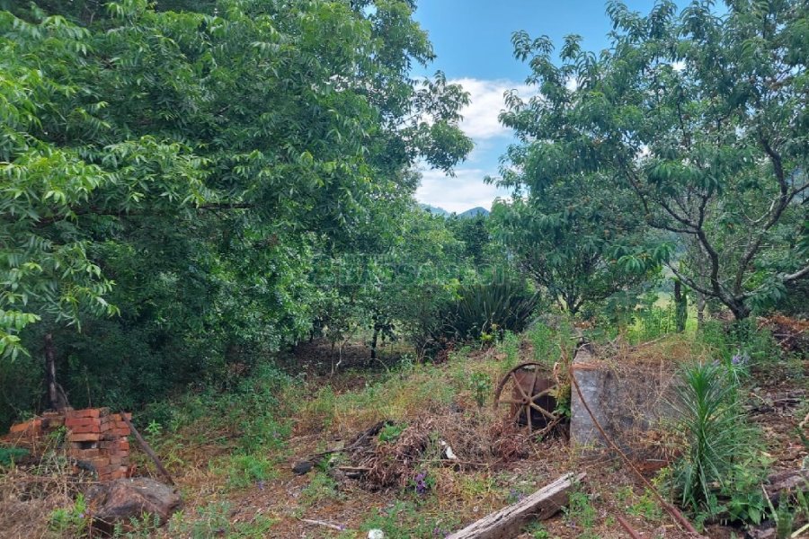 Chácara, 2 dormitórios, 1 vaga, no bairro Galópolis em Caxias do Sul para Comprar