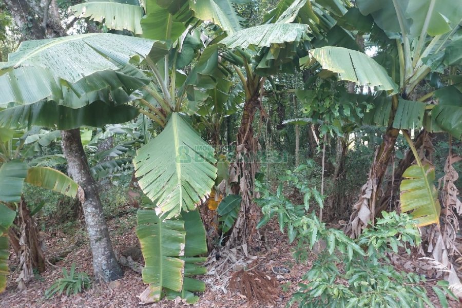 Chácara, 2 dormitórios, 1 vaga, no bairro Galópolis em Caxias do Sul para Comprar